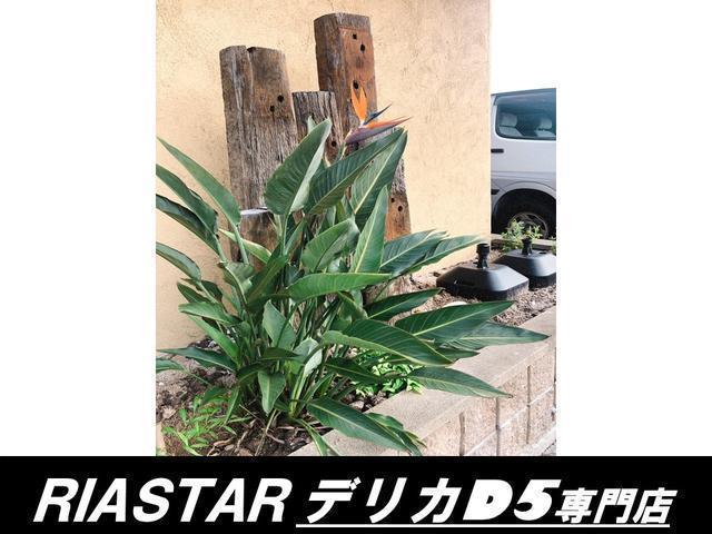 デリカＤ：５ Ｃ２　Ｇ　ナビパッケージ　★プロテクター★新品タイヤ・ホイール★フロントグリルマットブラック★新品シートカバー★電動スライドドア★フリップダウン★ＭＴモード付★パドルシフト★電動格納ミラー★バックカメラ★サイドカメラ★（63枚目）