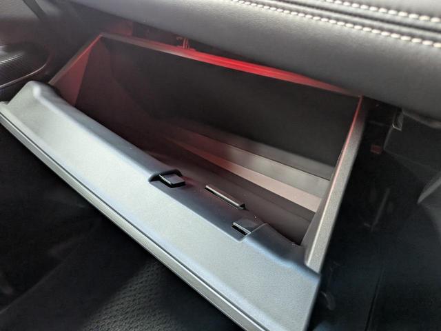 デリカＤ：５ シャモニー　★新品社外アルミホイール★禁煙車★両側電動パワスラ★クルーズコントロール★全周囲カメラ★電動格納ミラー★メモリーナビ★Ｂｌｕｅｔｏｏｔｈ★１００Ｖ電源★電動リアゲート★ステアリングリモコン★ＡＢＳ★（34枚目）