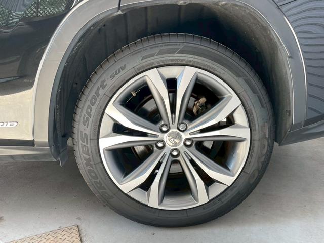 ナンバーがついているお車に関しては、試乗可能です！！ぜひ乗り心地を体感してください。（事前予約が必要となります。）