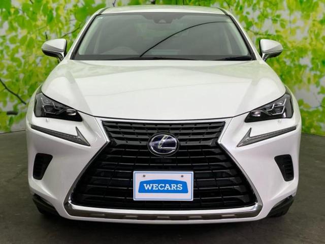 ＮＸ ＮＸ３００ｈ　Ｉパッケージ　新品タイヤ／保証書／純正　ＳＤナビ／プリクラッシュセーフティ／シートヒーター／車線逸脱防止支援システム／シート　合皮／パーキングアシスト　バックガイド／電動バックドア　衝突被害軽減システム　電動シート（41枚目）