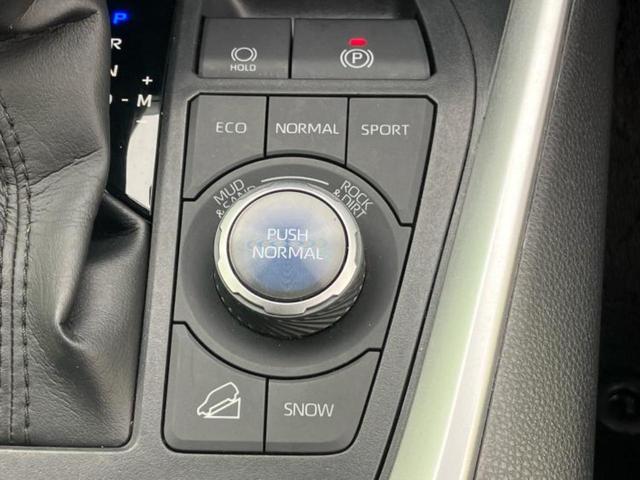 RAV4 4WD G Zパッケージ 新品タイヤ/ディスプレイオーディオ+ナビ/デジタルインナーミラー/トヨタセーフティセンス/シートヒーター 前席/パノラミックビューモニター/車線逸脱防止支援システム/シート 合皮 衝突被害軽減システム(38枚目)