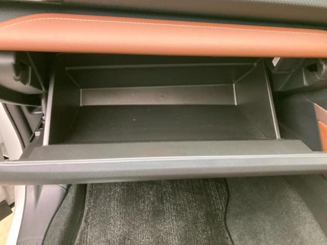 フォレスター 4WDアドバンス 保証書/純正 SDナビ/デジタルインナーミラー/アイサイトX(スバル新型)/シートヒーター/車線逸脱防止支援システム/シート フルレザー/パーキングアシスト バックガイド 革シート バックカメラ(25枚目)