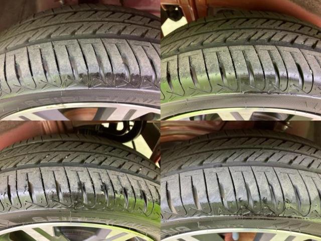 �u���̎Ԃ̎ʐ^�������ƌ������v�u��Ԃ��C�ɂȂ�v�u���̑����͂��Ă���H�v�ǂ�ȏ����ȋ^��ł����C�y�ɂ��₢���킹���������I