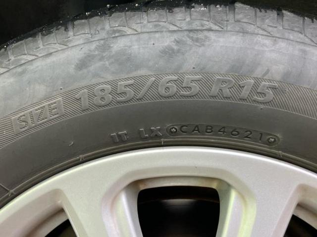 �u���̎Ԃ̎ʐ^�������ƌ������v�u��Ԃ��C�ɂȂ�v�u���̑����͂��Ă���H�v�ǂ�ȏ����ȋ^��ł����C�y�ɂ��₢���킹���������I