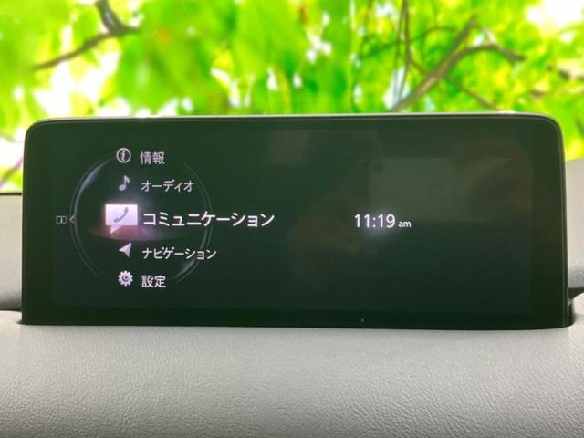 �v�d�b�`�q�r�̓W����ł͎��ۂɌ��āA�G���Ă��Ԃ����I�т��������܂��I�m���̖L�x�ȉc�ƃX�^�b�t���l�X�ȃJ�[���C�t������Ă������܂��I