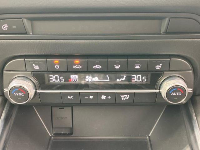 �u���̎Ԃ̎ʐ^�������ƌ������v�u��Ԃ��C�ɂȂ�v�u���̑����͂��Ă���H�v�ǂ�ȏ����ȋ^��ł����C�y�ɂ��₢���킹���������I