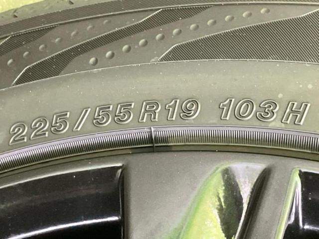 �u���̎Ԃ̎ʐ^�������ƌ������v�u��Ԃ��C�ɂȂ�v�u���̑����͂��Ă���H�v�ǂ�ȏ����ȋ^��ł����C�y�ɂ��₢���킹���������I