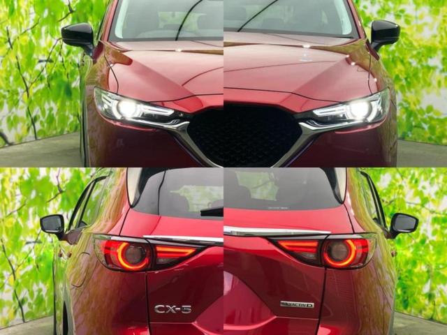 �l�b�g�ŎԂ����Ă��Ă��C���[�W���N���Ȃ��E�E�E�F�X�ȉ�Ђ�Ԃ����肷���ĉ����ǂ��̂�������Ȃ��E�E�E�������l���̂��q�l�I�����k�݂̂ł��n�j�ł��I�v�d�b�`�q�r�ł͒��Îԍw���̊�{�����`�����܂��I