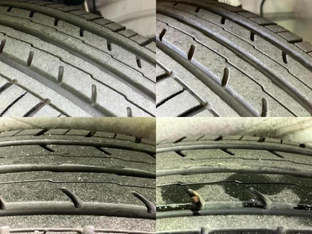 �u���̎Ԃ̎ʐ^�������ƌ������v�u��Ԃ��C�ɂȂ�v�u���̑����͂��Ă���H�v�ǂ�ȏ����ȋ^��ł����C�y�ɂ��₢���킹���������I