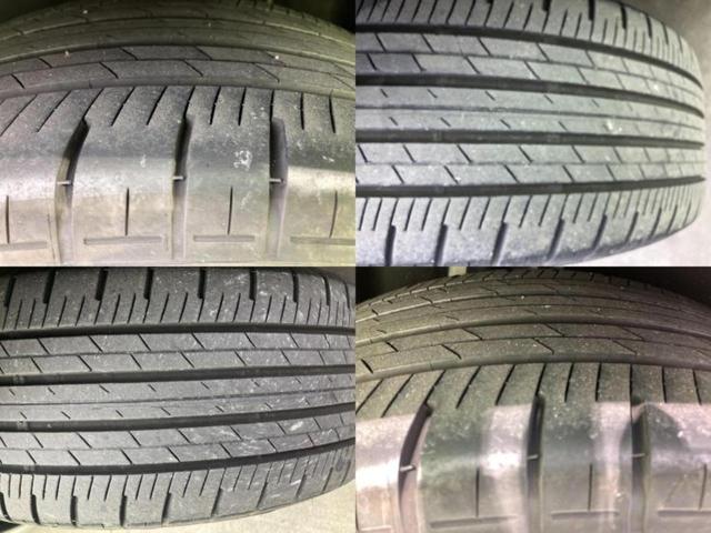 �u���̎Ԃ̎ʐ^�������ƌ������v�u��Ԃ��C�ɂȂ�v�u���̑����͂��Ă���H�v�ǂ�ȏ����ȋ^��ł����C�y�ɂ��₢���킹���������I