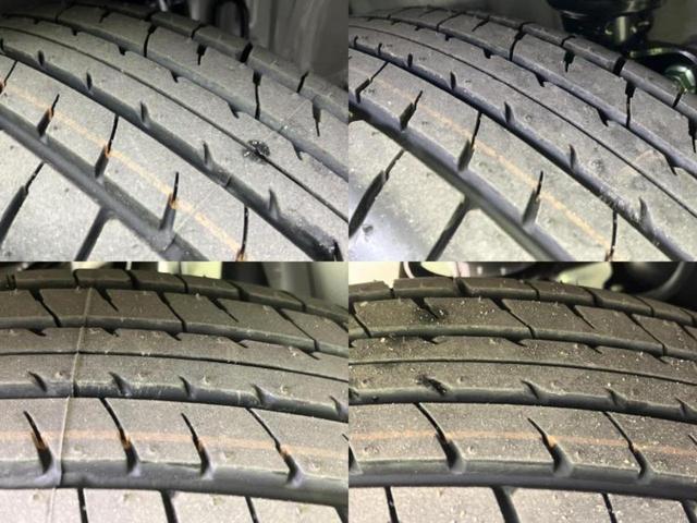 �u���̎Ԃ̎ʐ^�������ƌ������v�u��Ԃ��C�ɂȂ�v�u���̑����͂��Ă���H�v�ǂ�ȏ����ȋ^��ł����C�y�ɂ��₢���킹���������I