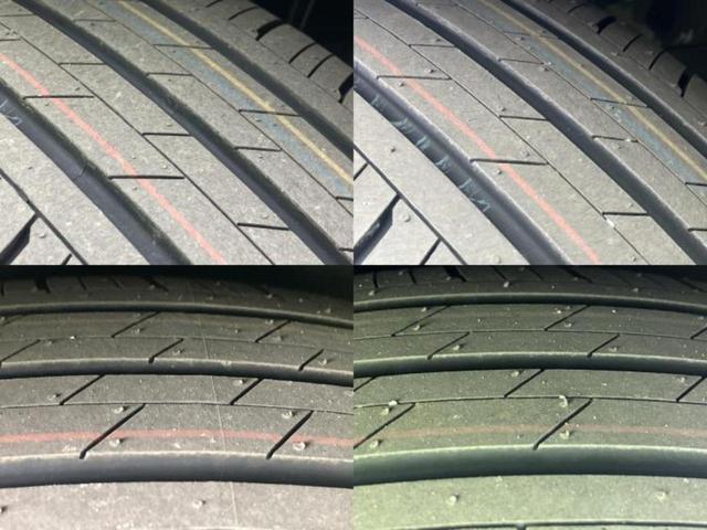 �u���̎Ԃ̎ʐ^�������ƌ������v�u��Ԃ��C�ɂȂ�v�u���̑����͂��Ă���H�v�ǂ�ȏ����ȋ^��ł����C�y�ɂ��₢���킹���������I