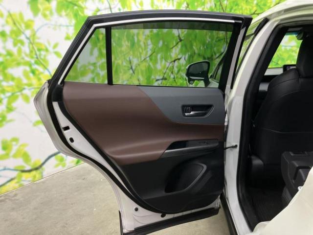 �u���̎Ԃ̎ʐ^�������ƌ������v�u��Ԃ��C�ɂȂ�v�u���̑����͂��Ă���H�v�ǂ�ȏ����ȋ^��ł����C�y�ɂ��₢���킹���������I