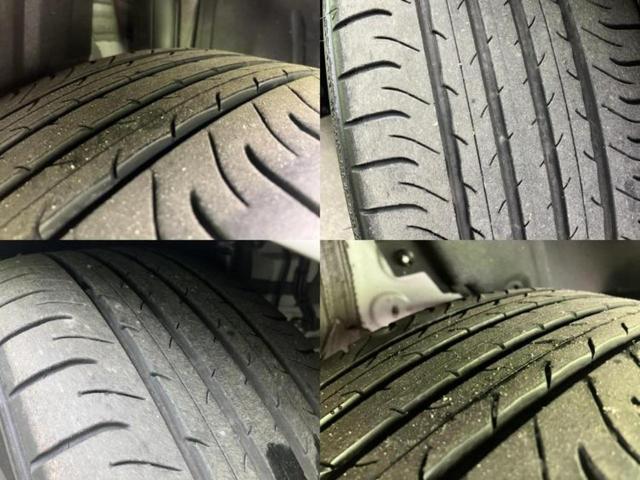 �u���̎Ԃ̎ʐ^�������ƌ������v�u��Ԃ��C�ɂȂ�v�u���̑����͂��Ă���H�v�ǂ�ȏ����ȋ^��ł����C�y�ɂ��₢���킹���������I