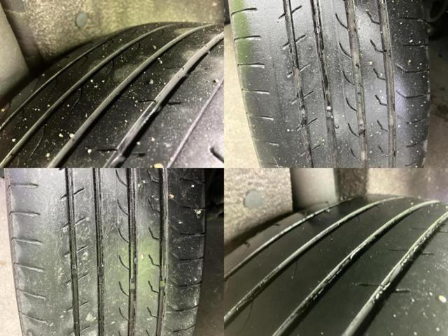 �u���̎Ԃ̎ʐ^�������ƌ������v�u��Ԃ��C�ɂȂ�v�u���̑����͂��Ă���H�v�ǂ�ȏ����ȋ^��ł����C�y�ɂ��₢���킹���������I