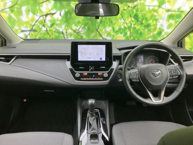 �u���̎Ԃ̎ʐ^�������ƌ������v�u��Ԃ��C�ɂȂ�v�u���̑����͂��Ă���H�v�ǂ�ȏ����ȋ^��ł����C�y�ɂ��₢���킹���������I