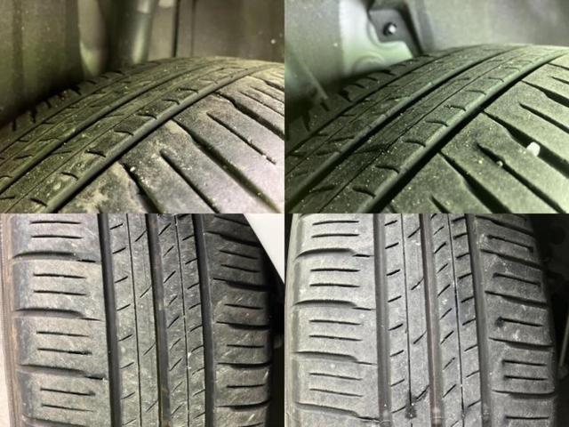 �u���̎Ԃ̎ʐ^�������ƌ������v�u��Ԃ��C�ɂȂ�v�u���̑����͂��Ă���H�v�ǂ�ȏ����ȋ^��ł����C�y�ɂ��₢���킹���������I