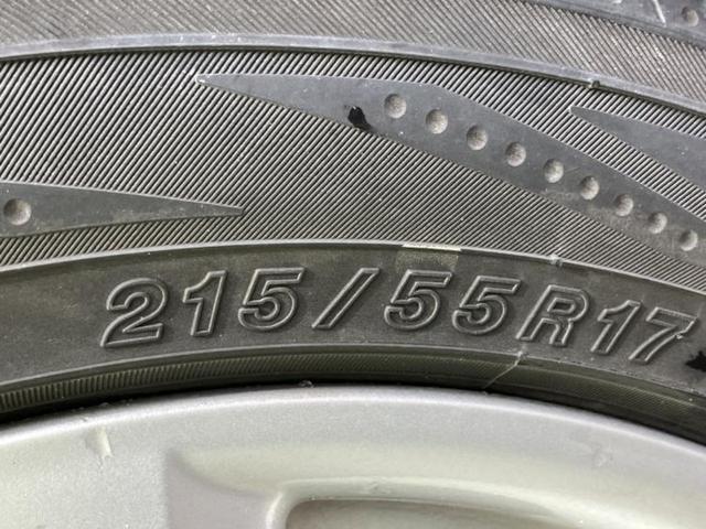 �u���̎Ԃ̎ʐ^�������ƌ������v�u��Ԃ��C�ɂȂ�v�u���̑����͂��Ă���H�v�ǂ�ȏ����ȋ^��ł����C�y�ɂ��₢���킹���������I