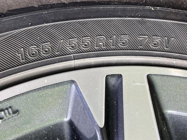 �u���̎Ԃ̎ʐ^�������ƌ������v�u��Ԃ��C�ɂȂ�v�u���̑����͂��Ă���H�v�ǂ�ȏ����ȋ^��ł����C�y�ɂ��₢���킹���������I