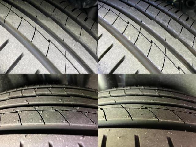 �u���̎Ԃ̎ʐ^�������ƌ������v�u��Ԃ��C�ɂȂ�v�u���̑����͂��Ă���H�v�ǂ�ȏ����ȋ^��ł����C�y�ɂ��₢���킹���������I