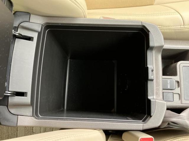 �u���̎Ԃ̎ʐ^�������ƌ������v�u��Ԃ��C�ɂȂ�v�u���̑����͂��Ă���H�v�ǂ�ȏ����ȋ^��ł����C�y�ɂ��₢���킹���������I