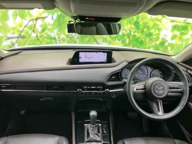 �u���̎Ԃ̎ʐ^�������ƌ������v�u��Ԃ��C�ɂȂ�v�u���̑����͂��Ă���H�v�ǂ�ȏ����ȋ^��ł����C�y�ɂ��₢���킹���������I