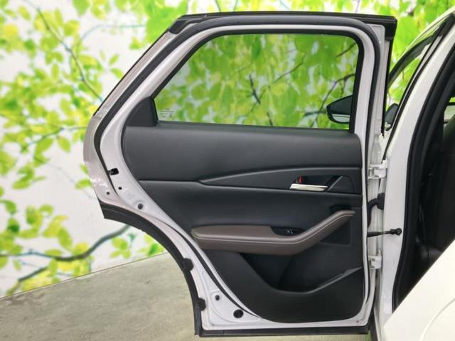 �u���̎Ԃ̎ʐ^�������ƌ������v�u��Ԃ��C�ɂȂ�v�u���̑����͂��Ă���H�v�ǂ�ȏ����ȋ^��ł����C�y�ɂ��₢���킹���������I