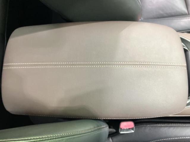 �u���̎Ԃ̎ʐ^�������ƌ������v�u��Ԃ��C�ɂȂ�v�u���̑����͂��Ă���H�v�ǂ�ȏ����ȋ^��ł����C�y�ɂ��₢���킹���������I