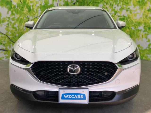 ������̂��Ԃ͂������ł��傤���H�����ł��C�ɂȂ��Ă��������܂����琥�񂨖₢���킹���������I����ɂ��Ԃ̏ڍׂ������肢�����܂��I