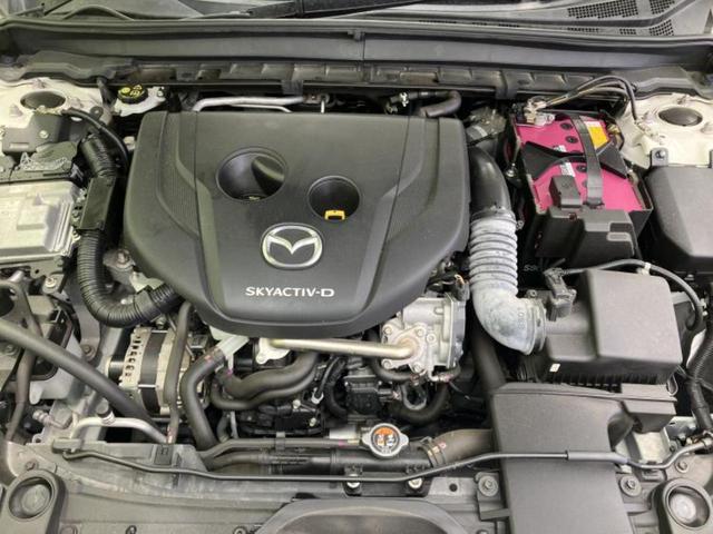 �S���ɓX�܂�W�J���Ă���̂łǂ��ł������񂹂��\�ł��I���̎Ԃ��C�ɂȂ邯�ǉ���������E�E�E�ƒ��߂�K�v�͂���܂���I���ʓr������K�v�ł��B