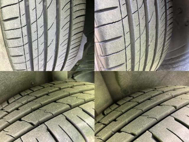 �u���̎Ԃ̎ʐ^�������ƌ������v�u��Ԃ��C�ɂȂ�v�u���̑����͂��Ă���H�v�ǂ�ȏ����ȋ^��ł����C�y�ɂ��₢���킹���������I