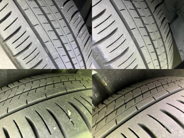 �u���̎Ԃ̎ʐ^�������ƌ������v�u��Ԃ��C�ɂȂ�v�u���̑����͂��Ă���H�v�ǂ�ȏ����ȋ^��ł����C�y�ɂ��₢���킹���������I