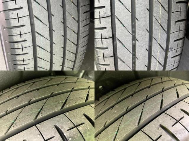 �u���̎Ԃ̎ʐ^�������ƌ������v�u��Ԃ��C�ɂȂ�v�u���̑����͂��Ă���H�v�ǂ�ȏ����ȋ^��ł����C�y�ɂ��₢���킹���������I