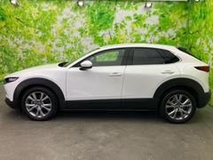 ףţãңӤκ߸˥ڡˤ꤬ȤޤףţãңӤϡ֤פåȡˤͤΥ饤դϤǥݡȤޤ 2