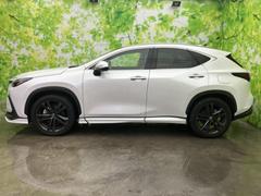 �����������������ܥǥ��饤����ħŪ��������ǽ���θ�����ǥ�����ϡ����Ի��ΰ������ˤ�׸����ޤ����������줿���륨�åȤ��ܤ�����ޤ��� 2