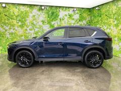 �������줿���륨�åȤ���ħŪ�ʥ����ɥӥ塼��ͥ���ʥܥǥ��饤�󤬡�ή��������ͽ�������ޤ�����������å�����ʤޤ���̥�ϤǤ��� 2