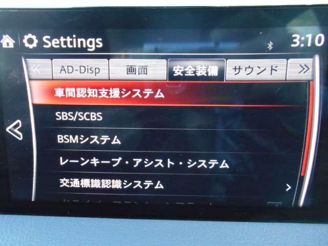 2.0 20S プロアクティブ ナビ CD DVD TV E(11枚目)