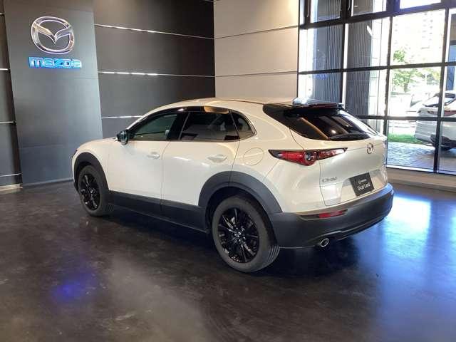 ＣＸ－３０ ＸＤ　ＢＬＫ　ＴＥ　バックカメラ・ＥＴＣ・ＰＷリフト・レーダーク　Ｅｔｃ　地デジＴＶ　衝突軽減Ｂ　ＴＶ　ＡＣＣ　ｉ－ｓｔｏｐ　ターボ　キーフリー　バックカメラ　Ｂｌｕｅｔｏｏｔｈ　パーキングセンサー　スマートキー　ＵＳＢ（15枚目）