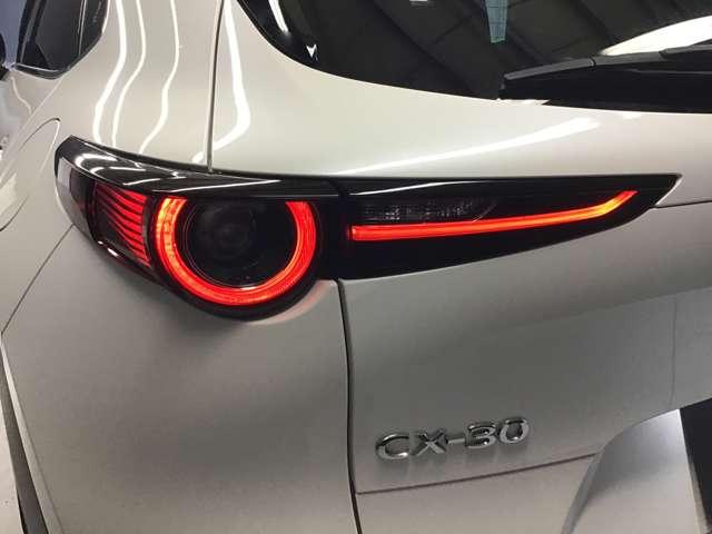 ＣＸ－３０ ＸＤ　ＢＬＫ　ＴＥ　バックカメラ・ＥＴＣ・ＰＷリフト・レーダーク　Ｅｔｃ　地デジＴＶ　衝突軽減Ｂ　ＴＶ　ＡＣＣ　ｉ－ｓｔｏｐ　ターボ　キーフリー　バックカメラ　Ｂｌｕｅｔｏｏｔｈ　パーキングセンサー　スマートキー　ＵＳＢ（19枚目）