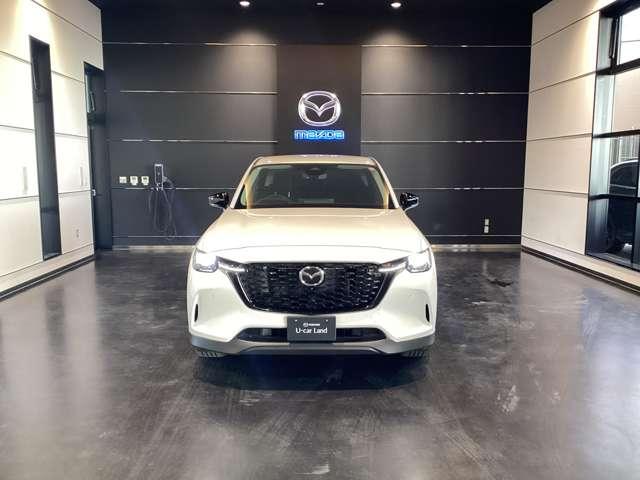 ���͂̃t�����g�}�X�N�ł��I�I