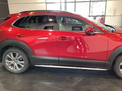 �ãءݣ��� �أġ��ԣϣգңɣΣǡ����֣գС��ţԣá���������ӥ塼����� 0803741A20260108Z003 7