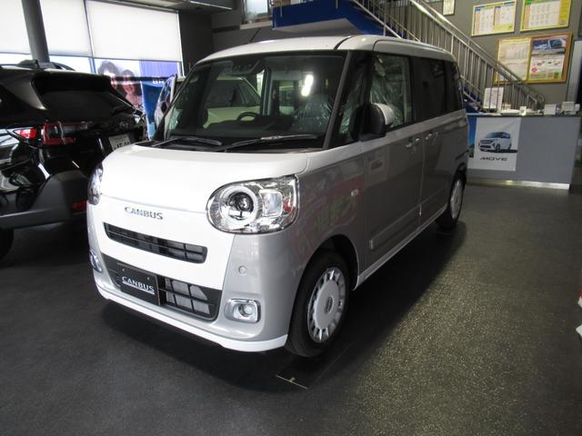 ムーヴキャンバス ストライプスＧ（2枚目）