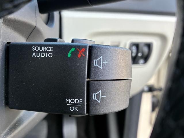 キャプチャー インテンス　レザー　（ヒーター付き黒革シート）（14枚目）