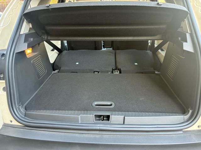 キャプチャー インテンス　レザー　（ヒーター付き黒革シート）（33枚目）