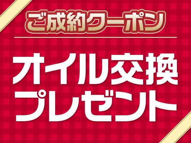 ＸＧリミテッド　社外ナビ　テレビ　バックカメラ　ブルーツース対応　ＤＶＤ再生　ＥＴＣ　スマートキー　シートヒーター（運転席側）クルーズコントロール(32枚目)