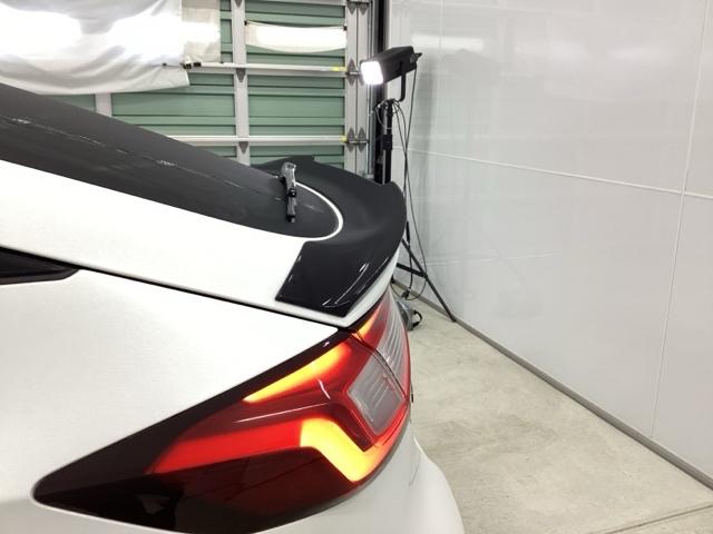 �_�b�N�e�[���^�C�v�̃e�[���Q�[�g�X�|�C���[