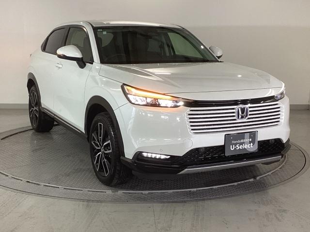 ���S�A���`�����l���������V���[�v�ȊO�ςł��B���i�̃A�V�ɂ������Ă����̈��ł��B�����̂悤�ɁA��Ԃ��ǂ��A�J���[�����O���I�X�X���ł���I�I