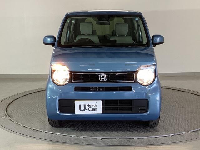 �����̂悤���Y��ɃN���[�j���O����Ă���A�ƂĂ��L���C�ȃ{�f�B�ł���B�O���͂������������Y��ł��B