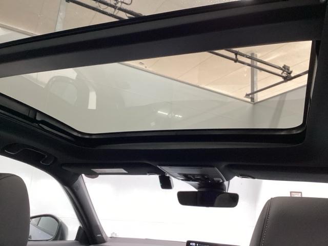 �y��^�T�����[�t�z�ԓ��𖾂邭�Ƃ炵�A����������o���Ă����傫�ȁy�T�����[�t�z�����̍��؂���v���~�A�������Ⴂ�܂��B