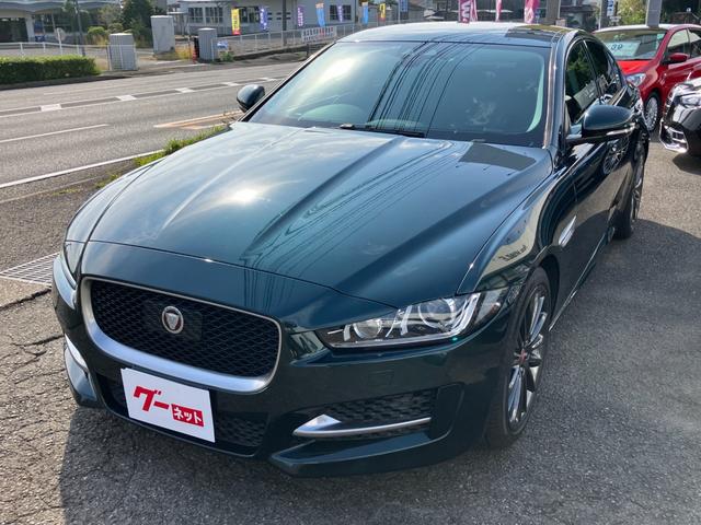 XE XE ピュア(2枚目)